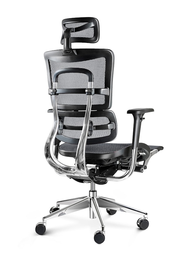 Ergonomic Chair DIABLO V-MASTER: black-grey