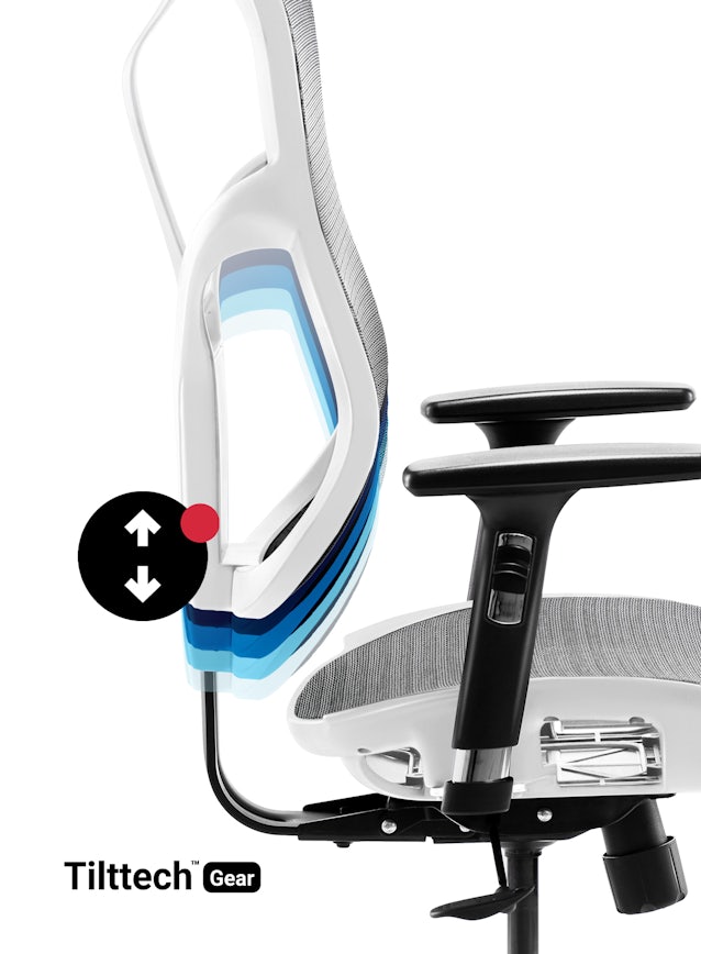 Ergonomic Chair DIABLO V-BASIC: white-grey