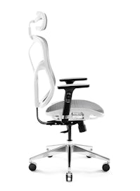 Ergonomischer Bürostuhl DIABLO V-BASIC: Weiß-Grau