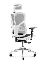 Ergonomischer Bürostuhl DIABLO V-BASIC: schwarz-weiß