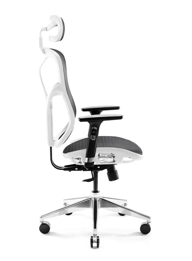 Ergonomic Chair DIABLO V-BASIC: white-black