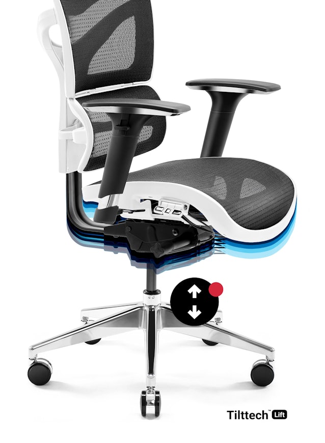 Ergonomic Chair DIABLO V-COMMANDER: white-black