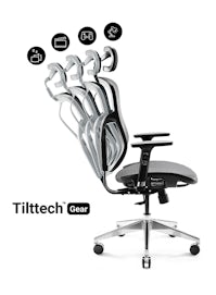 Ergonomic Chair DIABLO V-BASIC: black-grey